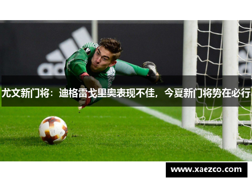 尤文新门将：迪格雷戈里奥表现不佳，今夏新门将势在必行